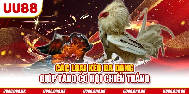 Các loại kèo đa dạng giúp tăng cơ hội chiến thắng