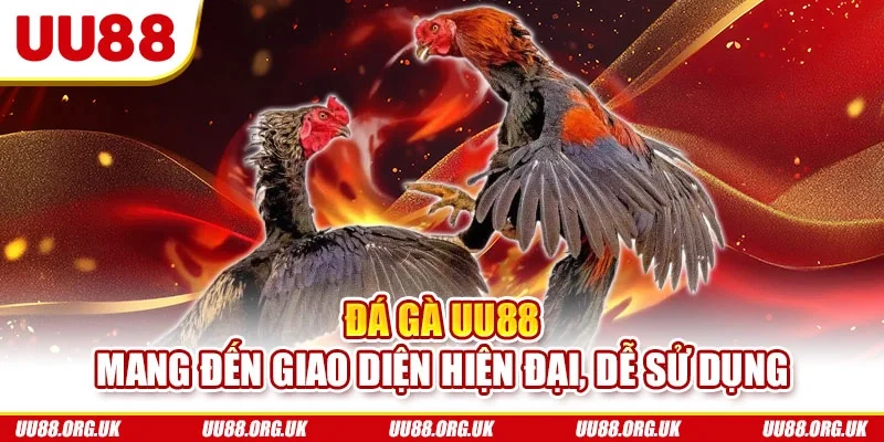 Đá gà UU88 mang đến giao diện hiện đại, dễ sử dụng
