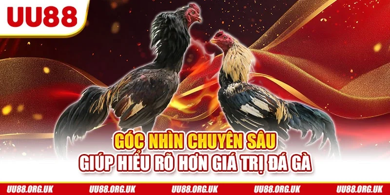 Góc nhìn chuyên sâu giúp hiểu rõ hơn giá trị đá gà