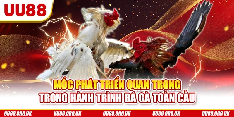 Mốc phát triển quan trọng trong hành trình đá gà toàn cầu